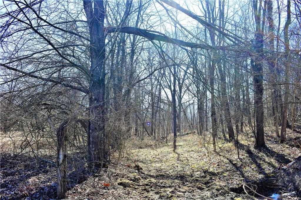 3612 North County Line Road East Gosport, IN 47433 - Photo 29 of 29