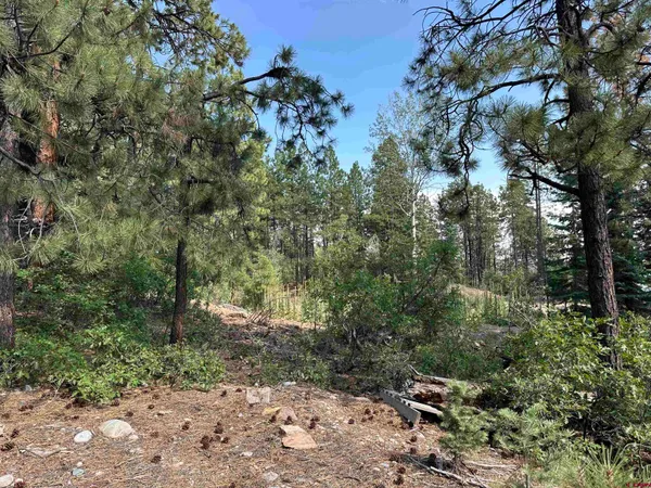 a view of outdoor space and trees all around