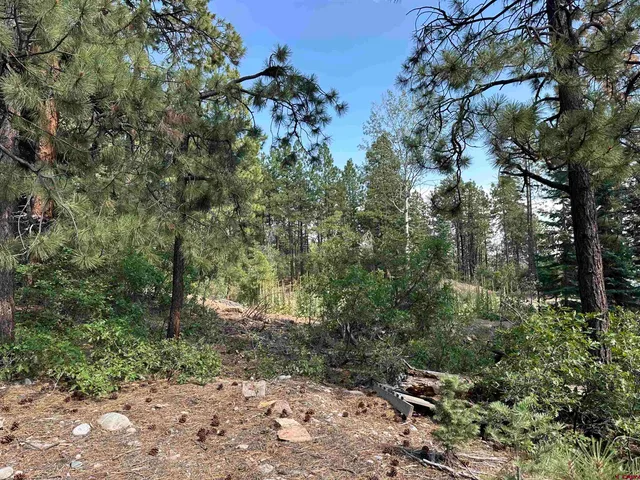 a view of outdoor space and trees all around