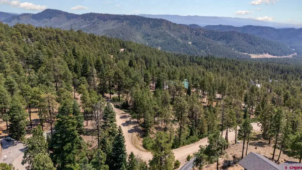 a view of a forest with mountains in the background