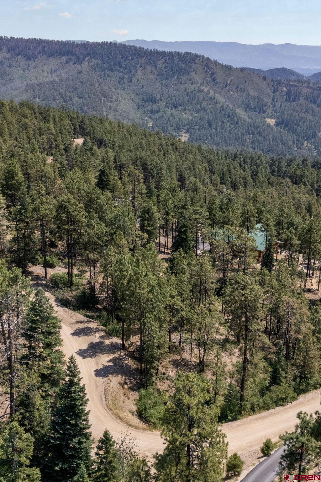 186 Pine Ridge Drive Bayfield, CO 81122 - Photo 13 of 25 a view of a forest with mountains in the background