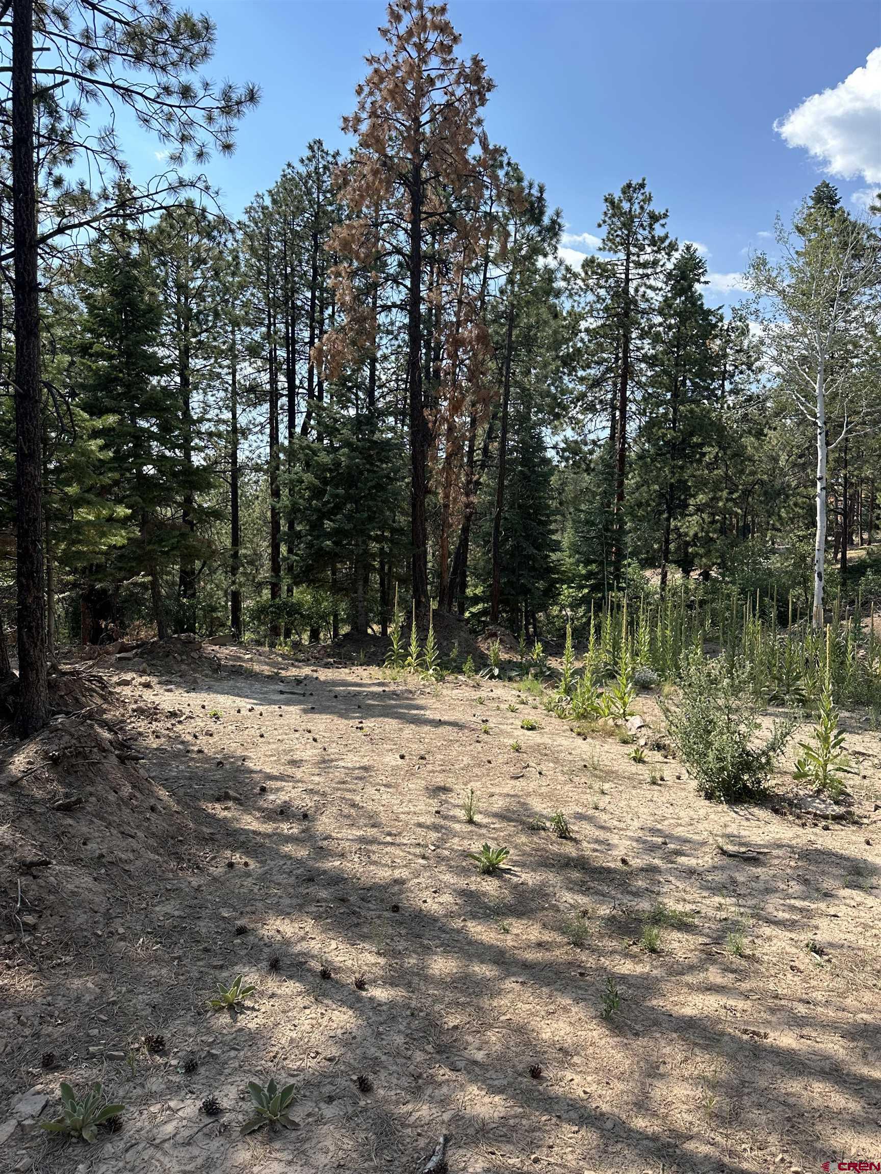 186 Pine Ridge Drive Bayfield, CO 81122 - Photo 14 of 25 a view of outdoor space with trees