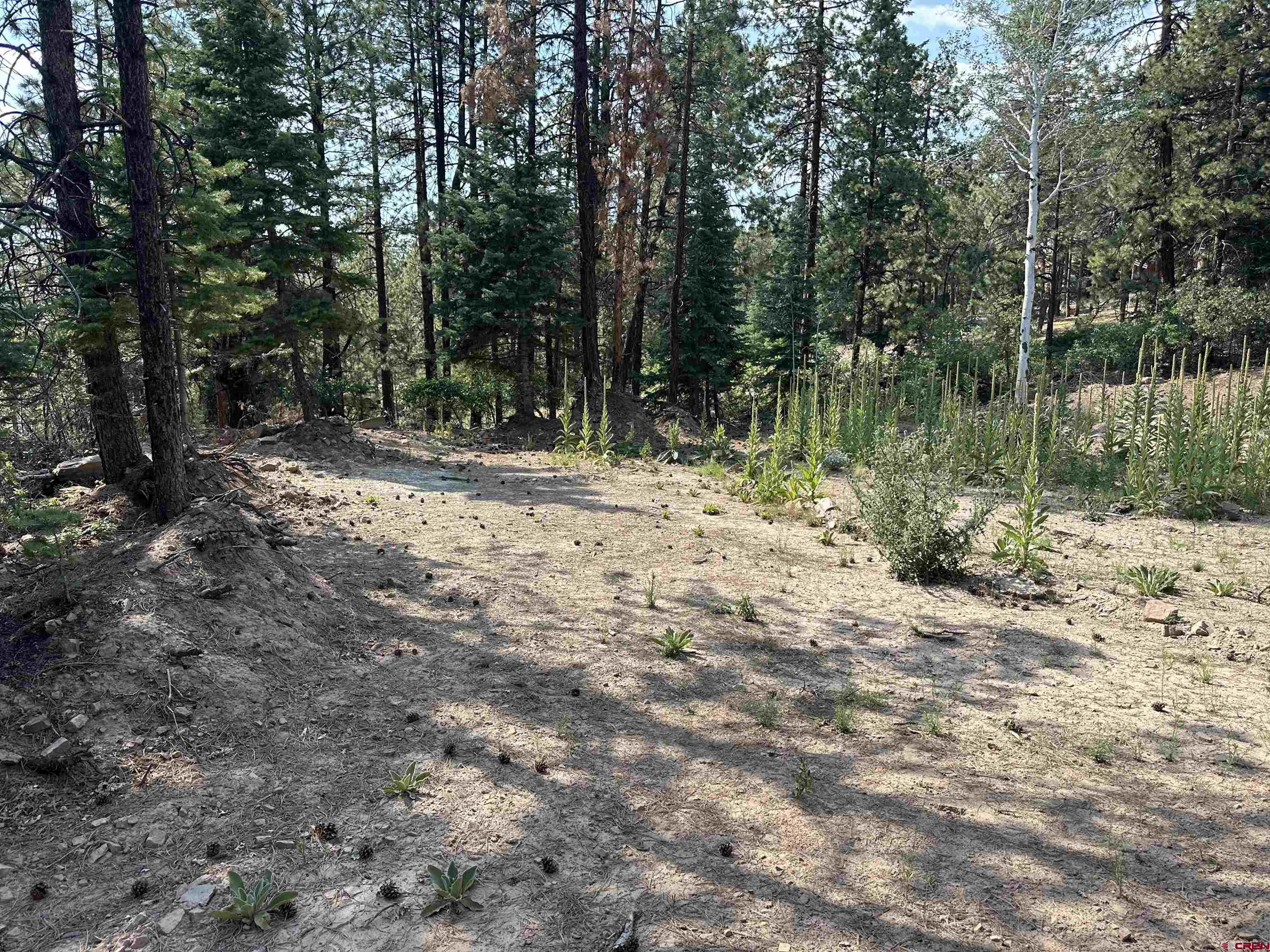 186 Pine Ridge Drive Bayfield, CO 81122 - Photo 16 of 25 a backyard of a house with lots of green space