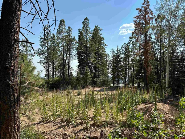 a view of lake with green space