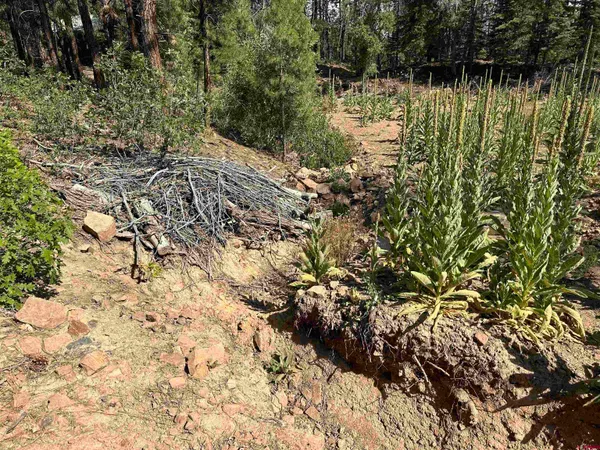 a view of swimming pool from a lake