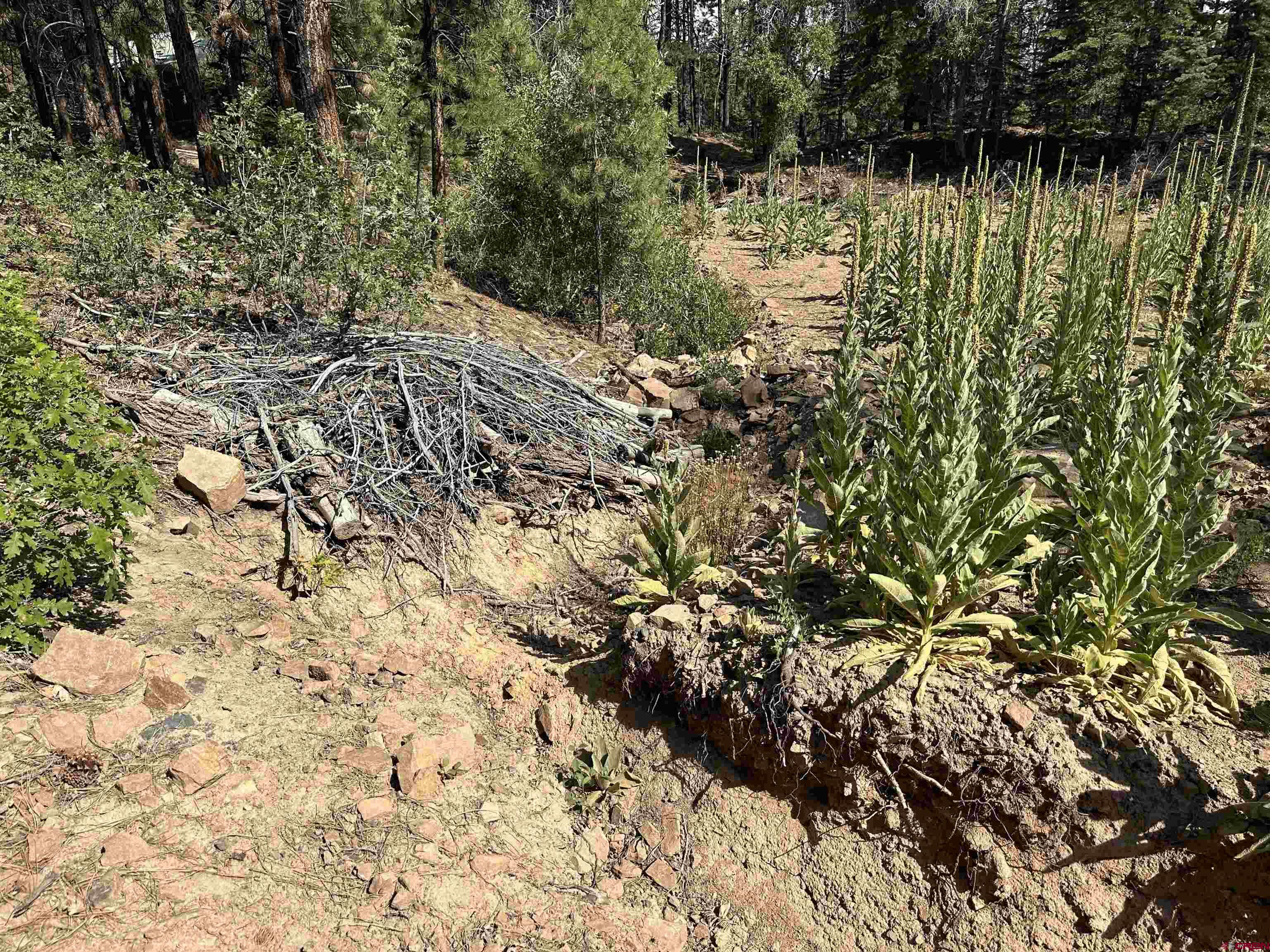 186 Pine Ridge Drive Bayfield, CO 81122 - Photo 20 of 25 a view of lake with green space