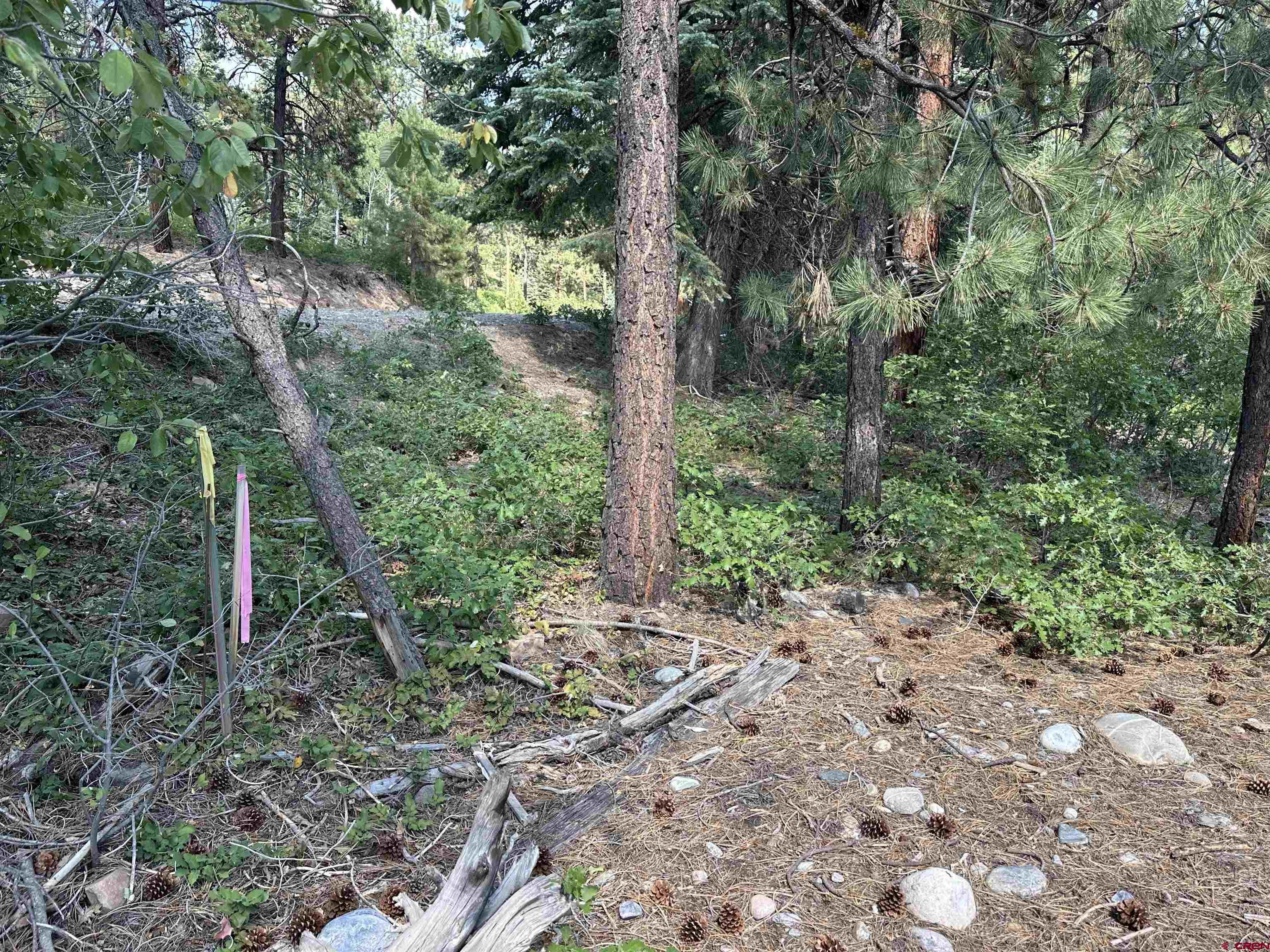 186 Pine Ridge Drive Bayfield, CO 81122 - Photo 22 of 25 a view of a forest with trees