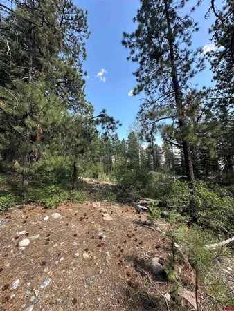 a view of outdoor space and trees