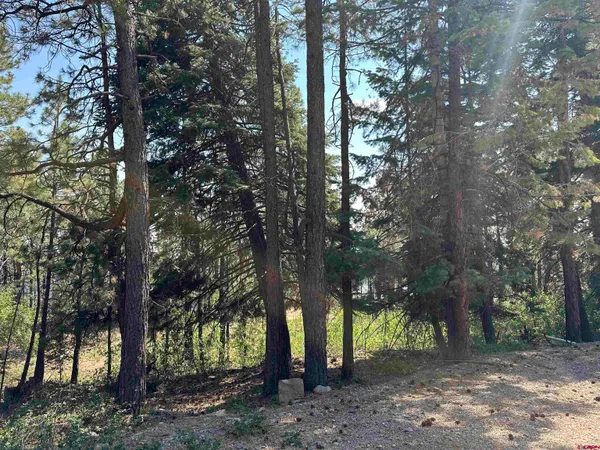 $75,000 | 186 Pine Ridge Drive, Bayfield, CO 81122