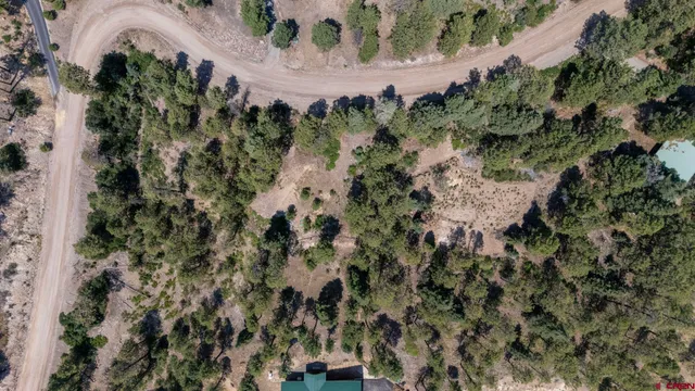 a view of a yard with trees