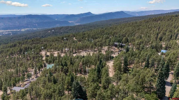 an aerial view of residential house and green space
