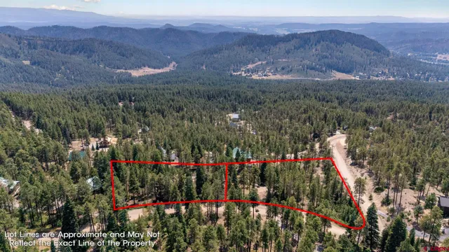 a view of a city with lush green forest