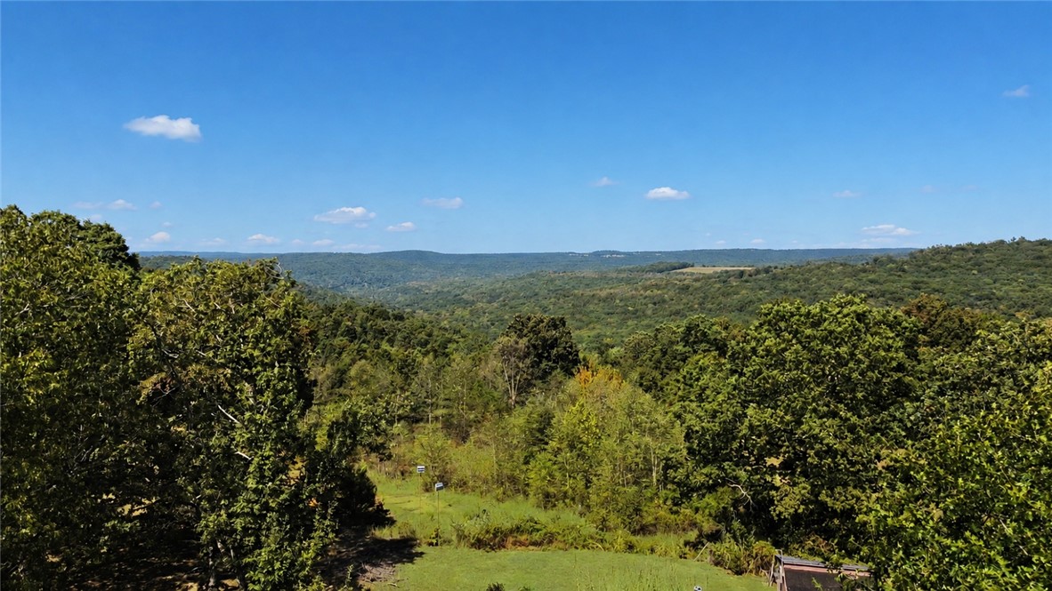 24055 Freedom Road Chester, AR 72934 - Photo 13 of 27 Gallery Image 13