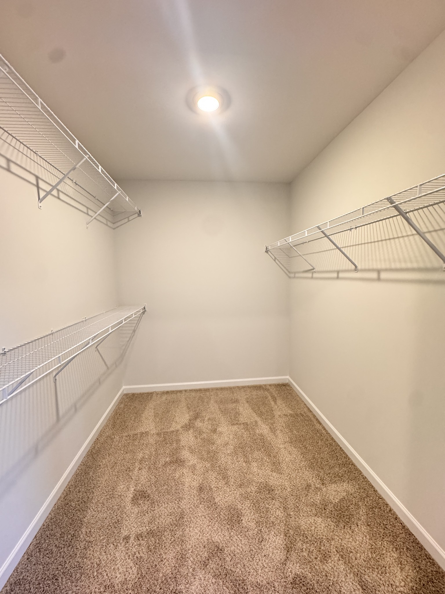 4007 Colleton Lane Rockvale, TN 37153 - Photo 12 of 15