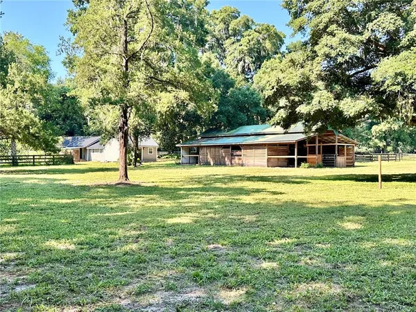 a view of park with trees
