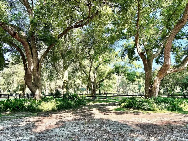 a view of a park with large trees