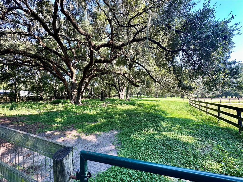 5625 Northwest 193 Lane Citra, FL 32113 - Photo 64 of 64