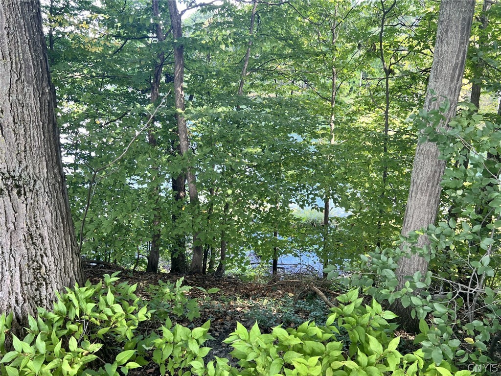 281 Frenchs Bay Road Tully, NY 13159 - Photo 17 of 29 Gallery Image 17