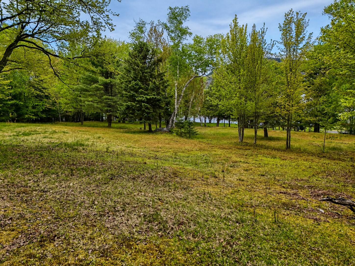 Lot 1 Hardscabble Road Rockwood, ME 04478 - Photo 5 of 16 field2