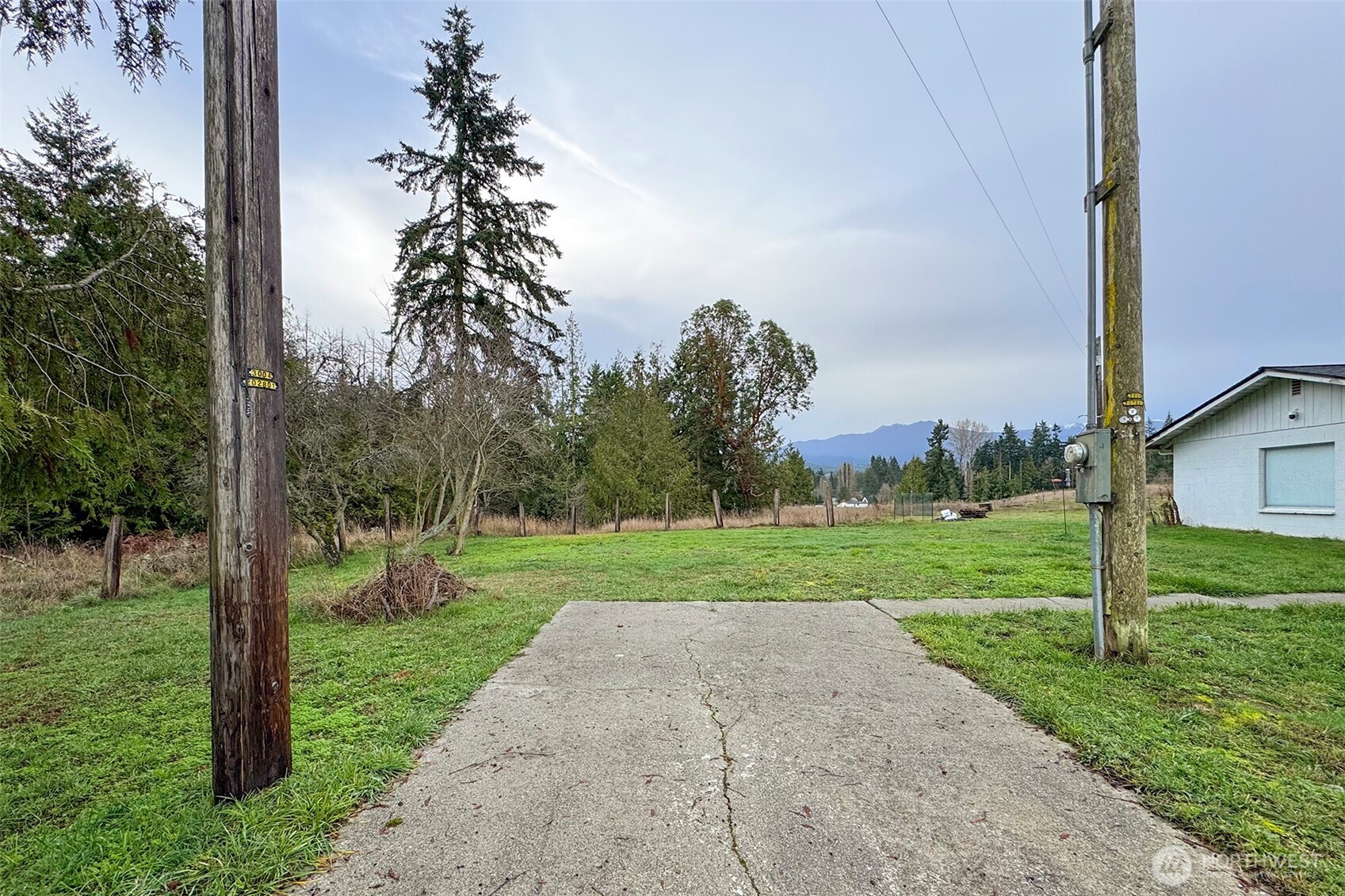 163 Cliff Robinson Lane Sequim, WA 98382 - Photo 31 of 40 a view of a backyard with palm trees