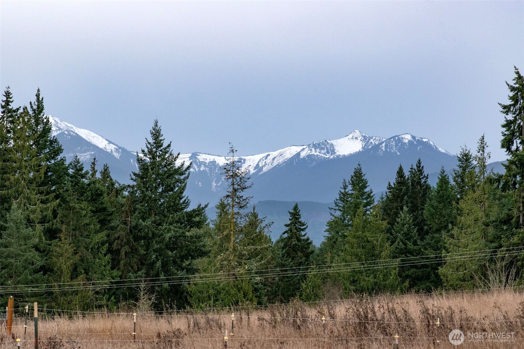 163 Cliff Robinson Lane Sequim, WA 98382 - Photo 32 of 40 a view of lake and trees
