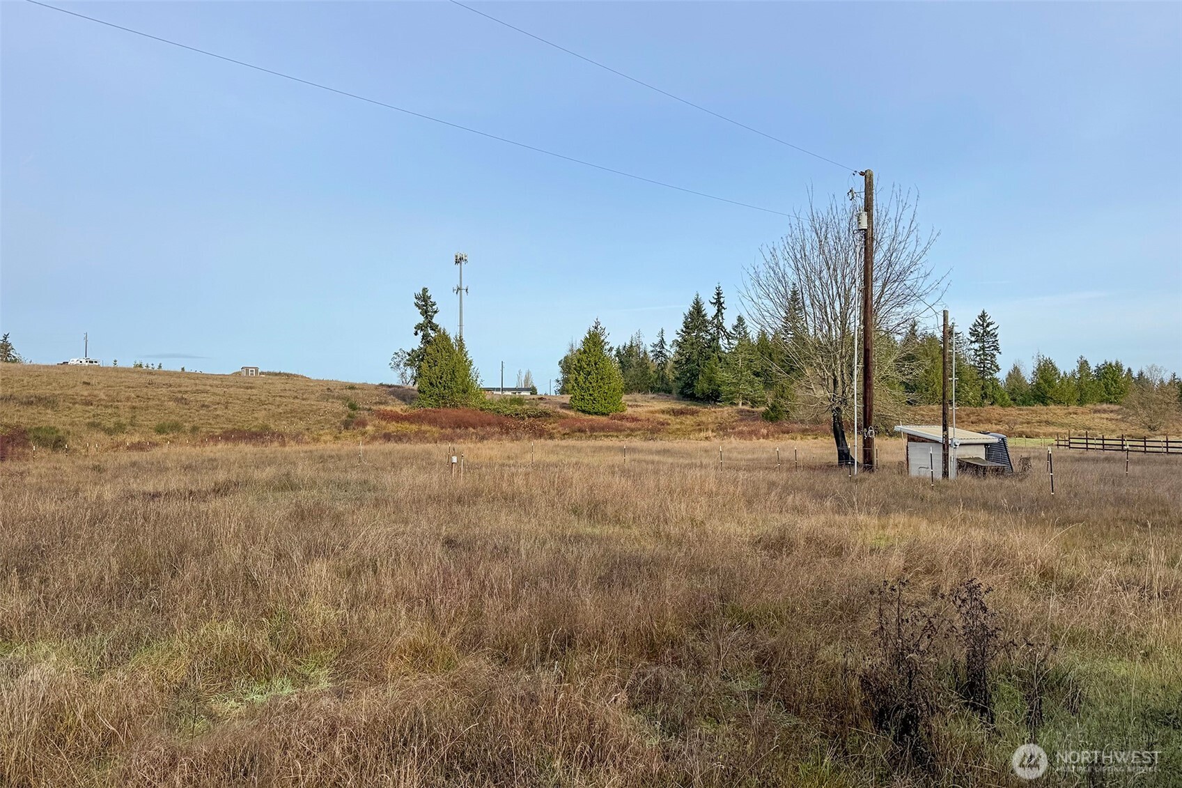 163 Cliff Robinson Lane Sequim, WA 98382 - Photo 36 of 40 a view of a dry yard with trees