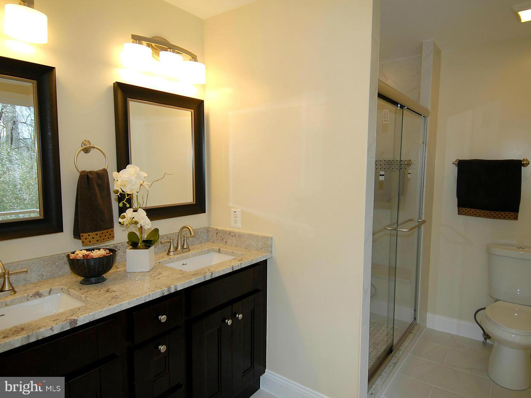 17919 Pond Road Ashton, MD 20861 - Photo 16 of 30 Master Bath with Gorgeous Standing Shower