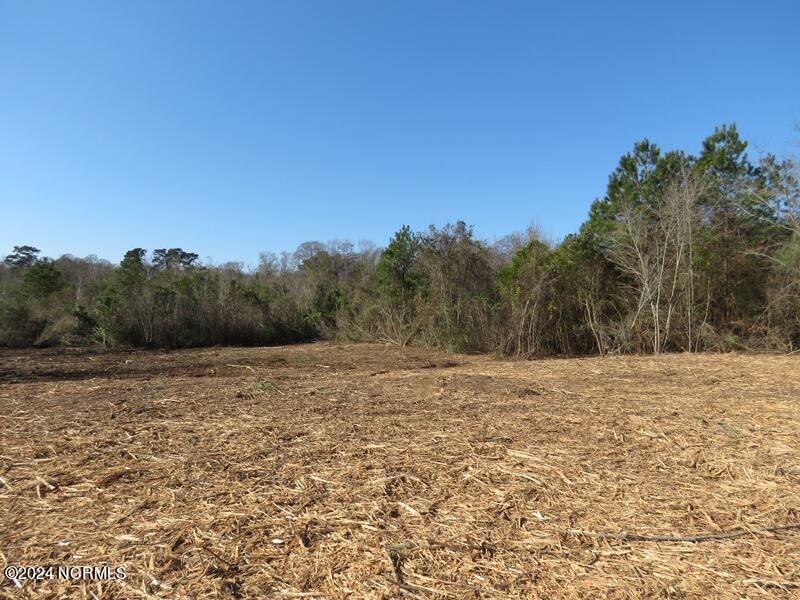 Tbd McGirt Road Maxton, NC 28364 - Photo 11 of 15 IMG_7435