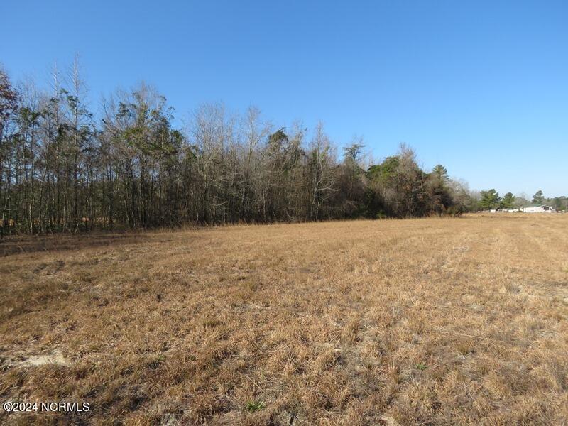 Tbd McGirt Road Maxton, NC 28364 - Photo 14 of 15 IMG_7438