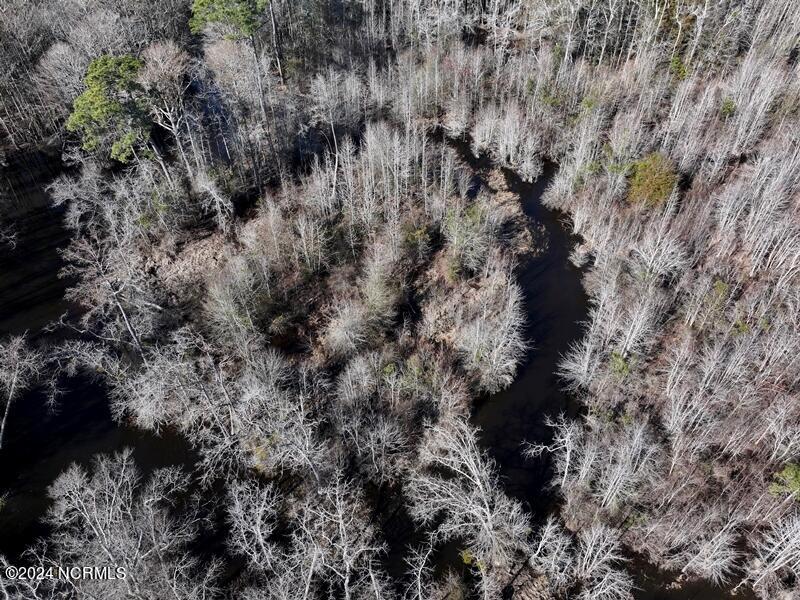 Tbd McGirt Road Maxton, NC 28364 - Photo 5 of 15 DJI_20240104122710_0077_D