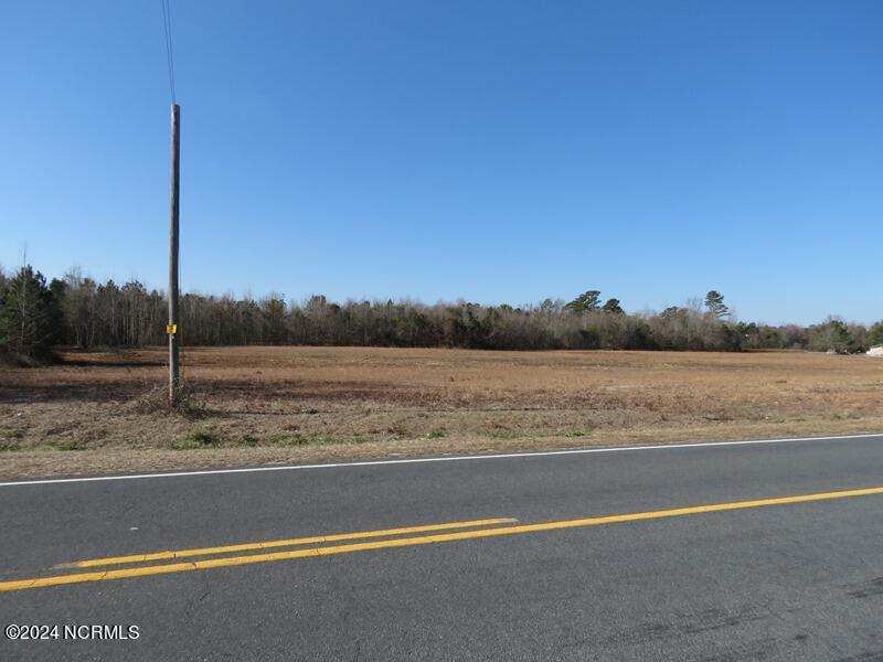 Tbd McGirt Road Maxton, NC 28364 - Photo 7 of 15 IMG_7429