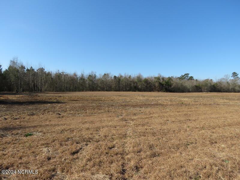 Tbd McGirt Road Maxton, NC 28364 - Photo 8 of 15 IMG_7431
