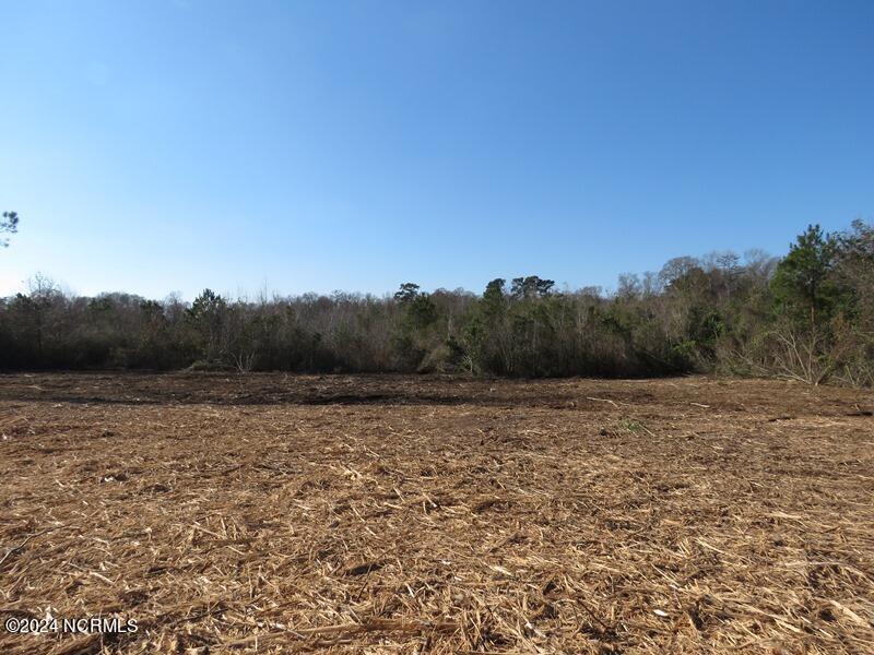 Tbd McGirt Road Maxton, NC 28364 - Photo 10 of 15 IMG_7434
