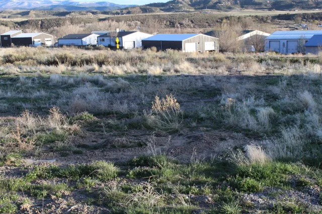 a view of a houses with dry trees
