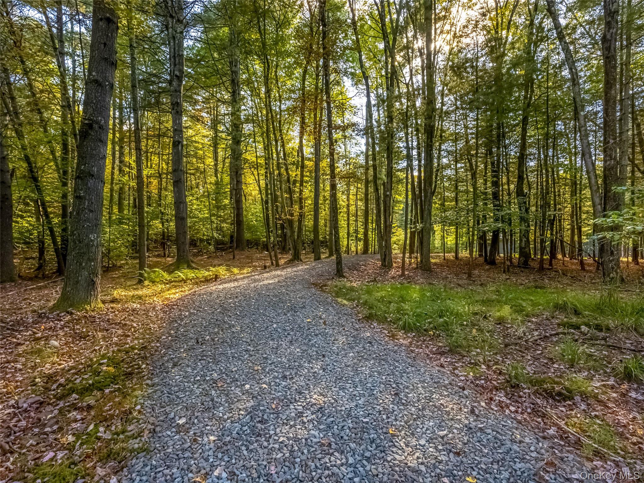 61 Top Ridge Trail White Lake, NY 12786 - Photo 46 of 50