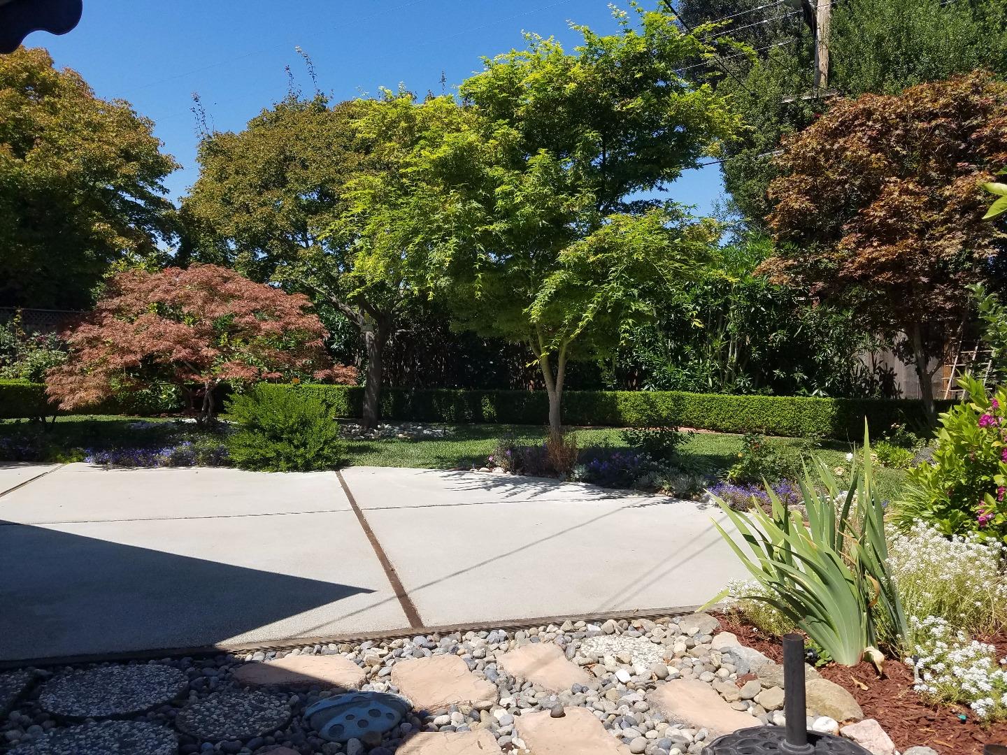 1451 Lewiston Drive Sunnyvale, CA 94087 - Photo 14 of 15 a view of a park with plants and trees