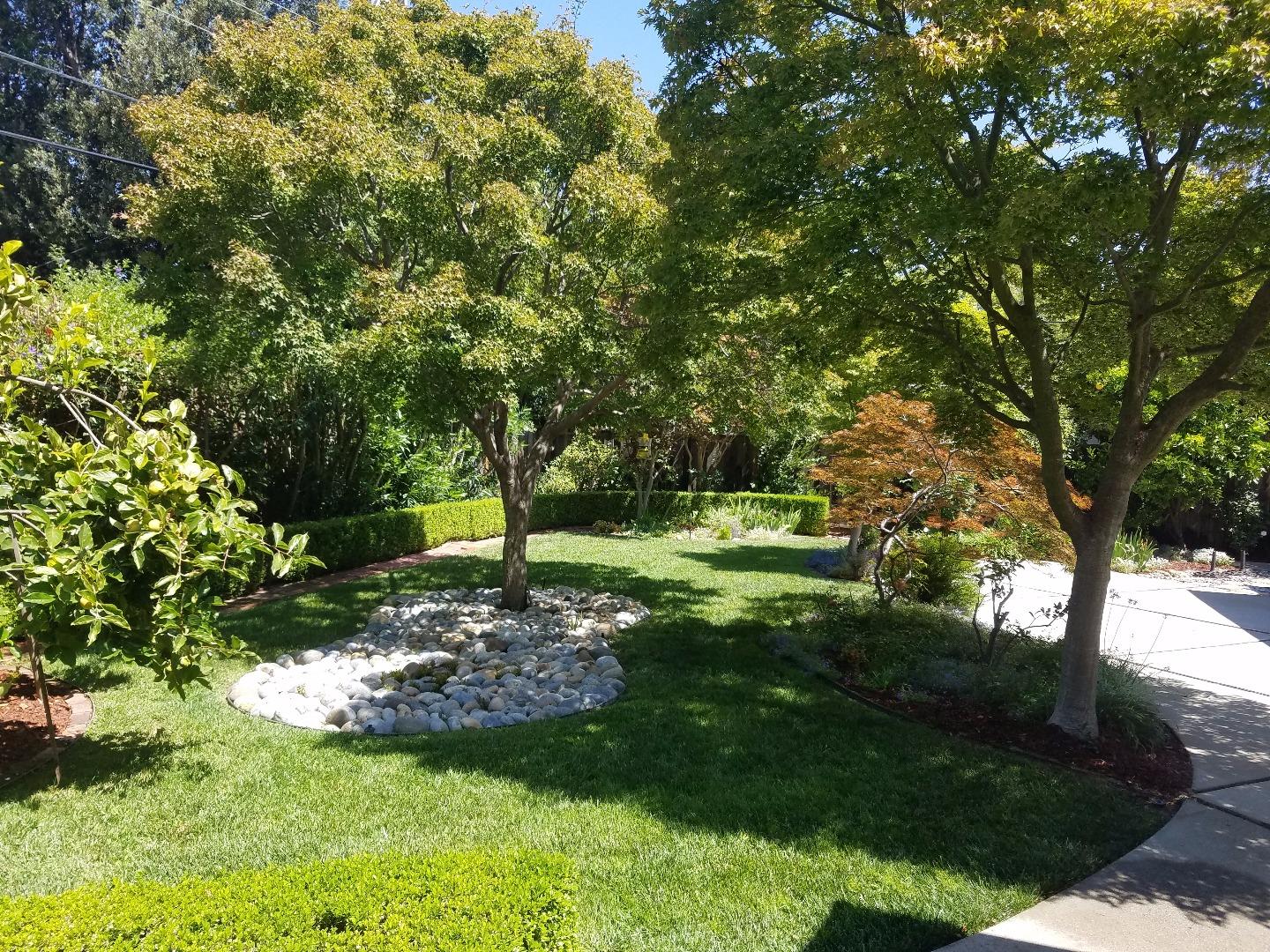 1451 Lewiston Drive Sunnyvale, CA 94087 - Photo 15 of 15 a view of a garden with a tree
