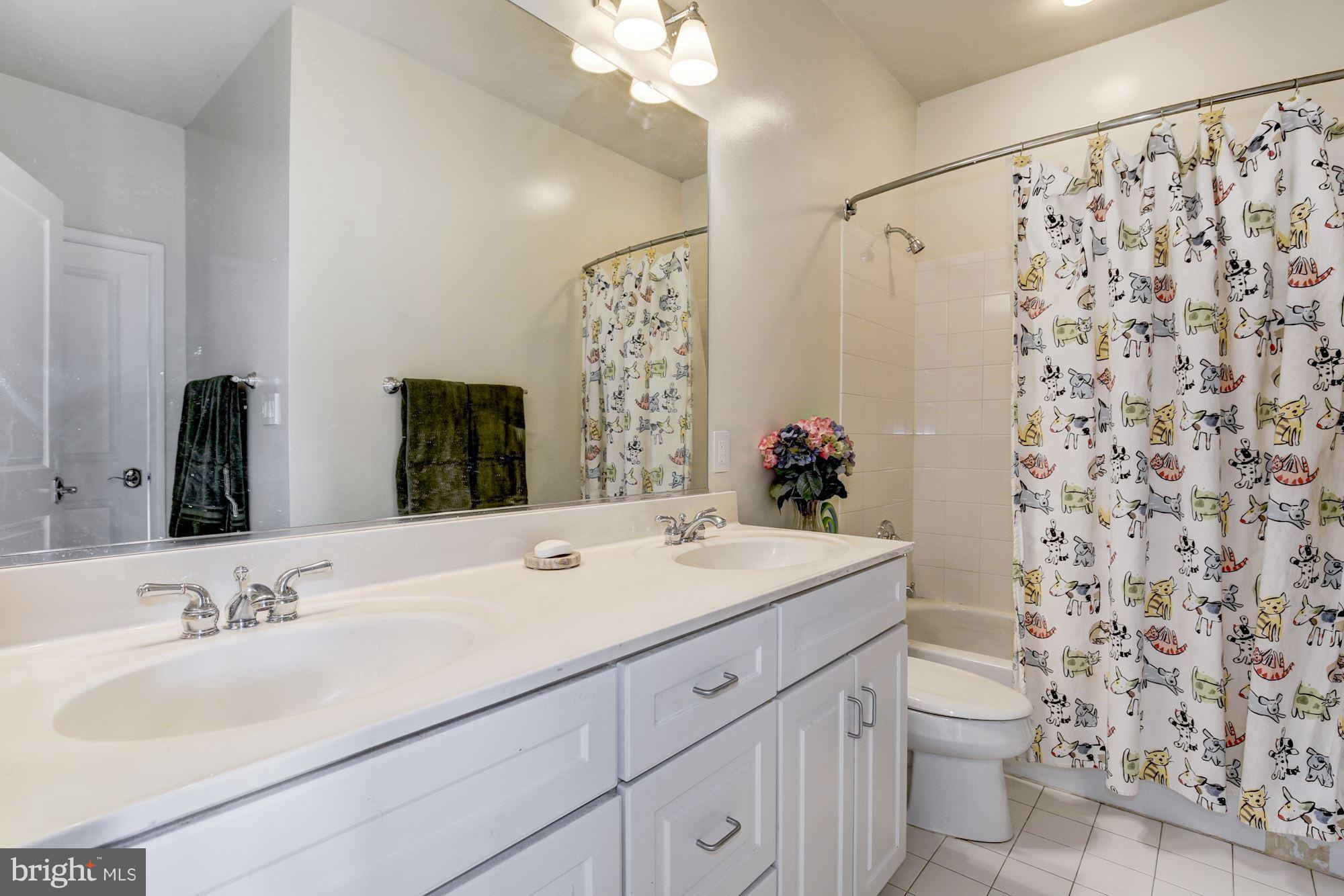 648 C Street Northeast Washington, DC 20002 - Photo 16 of 22 a bathroom with a sink and a mirror