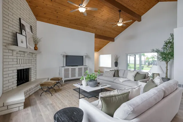 a living room with furniture potted plant and a fireplace