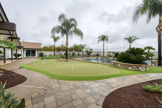 a view of a swimming pool with a lawn chairs under palm trees