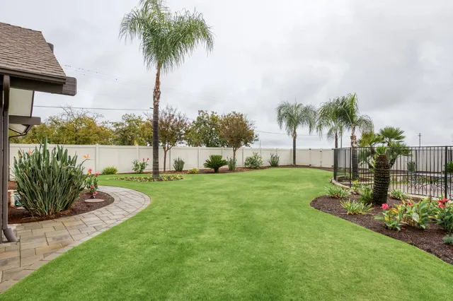 a view of a backyard