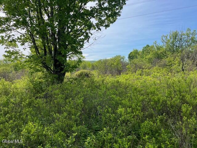 L9 Harrington Road Gilboa, NY 12076 - Photo 24 of 27 IMG_5382