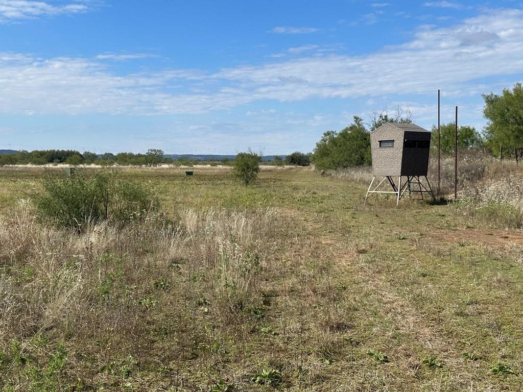 5472 Fm-126 Merkel, TX 79536 - Photo 15 of 22 View of yard featuring a rural view