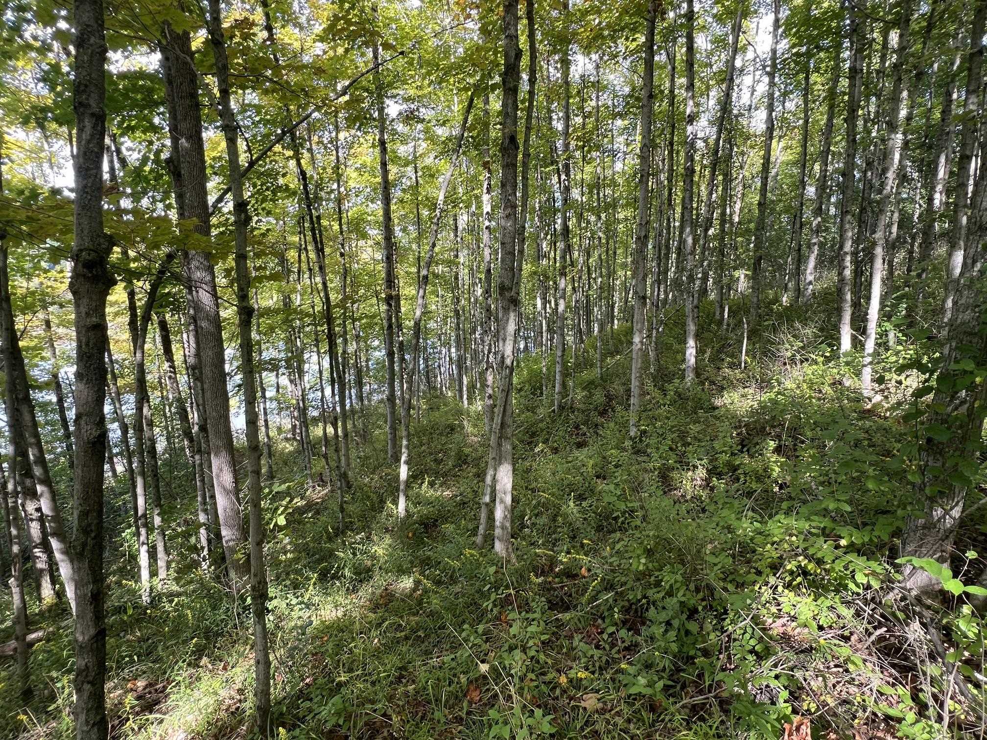 7998 Main Road West Haven, VT 05743 - Photo 25 of 36 Gallery Image 25