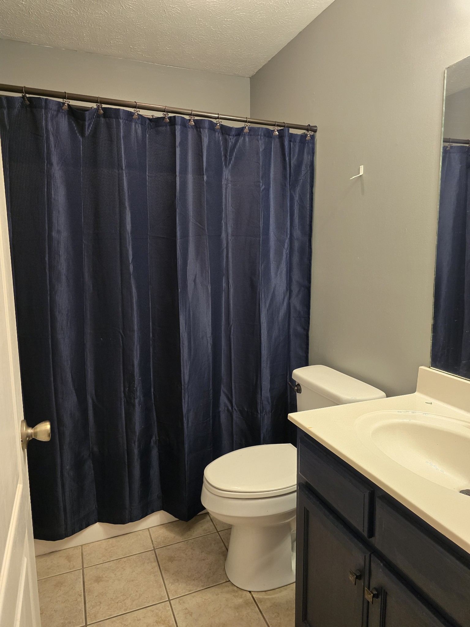 270 Reed Circle Medina, TN 38355 - Photo 23 of 31 a bathroom with a toilet and a shower curtain