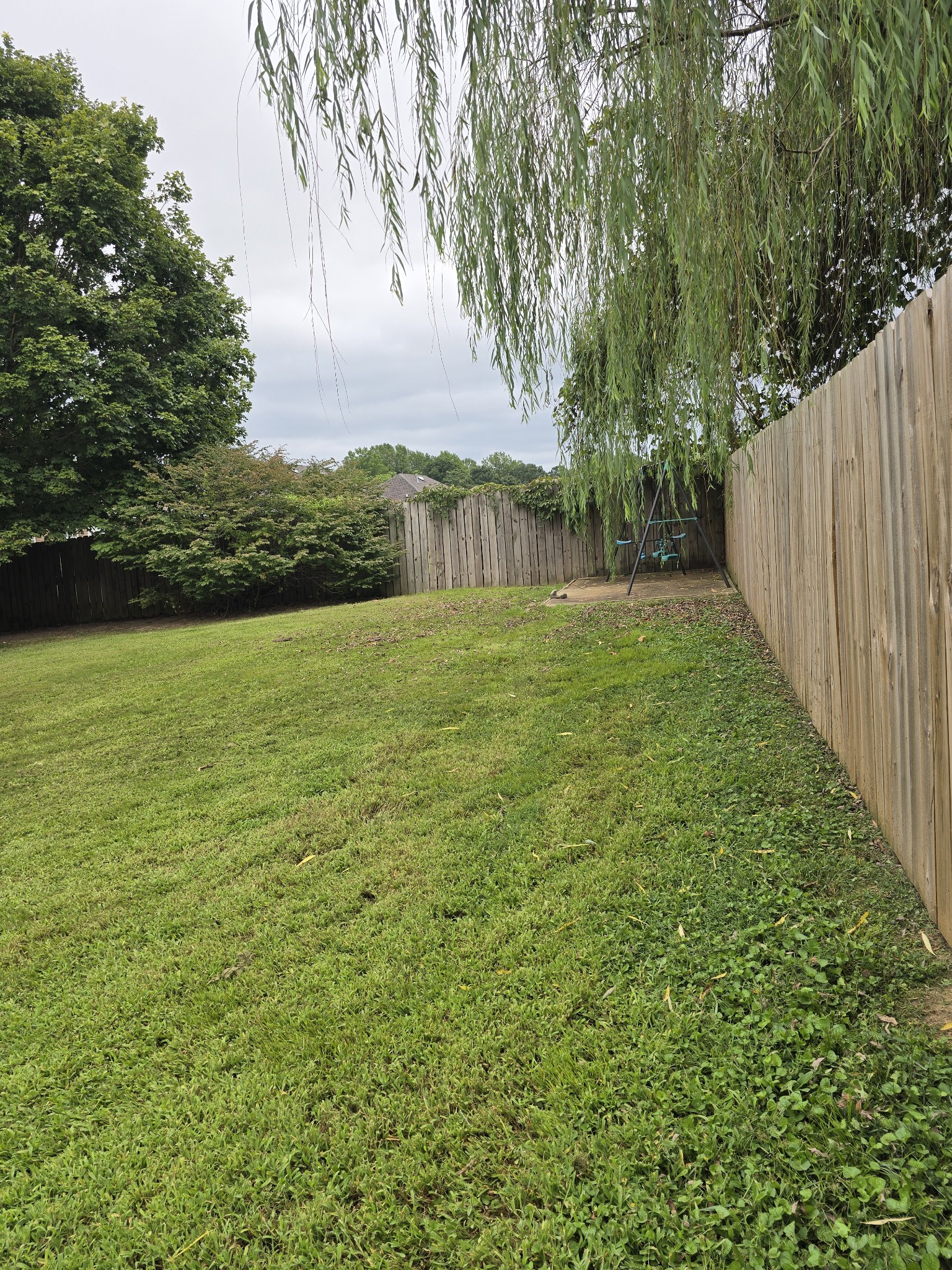 270 Reed Circle Medina, TN 38355 - Photo 29 of 31 a view of yard with green space
