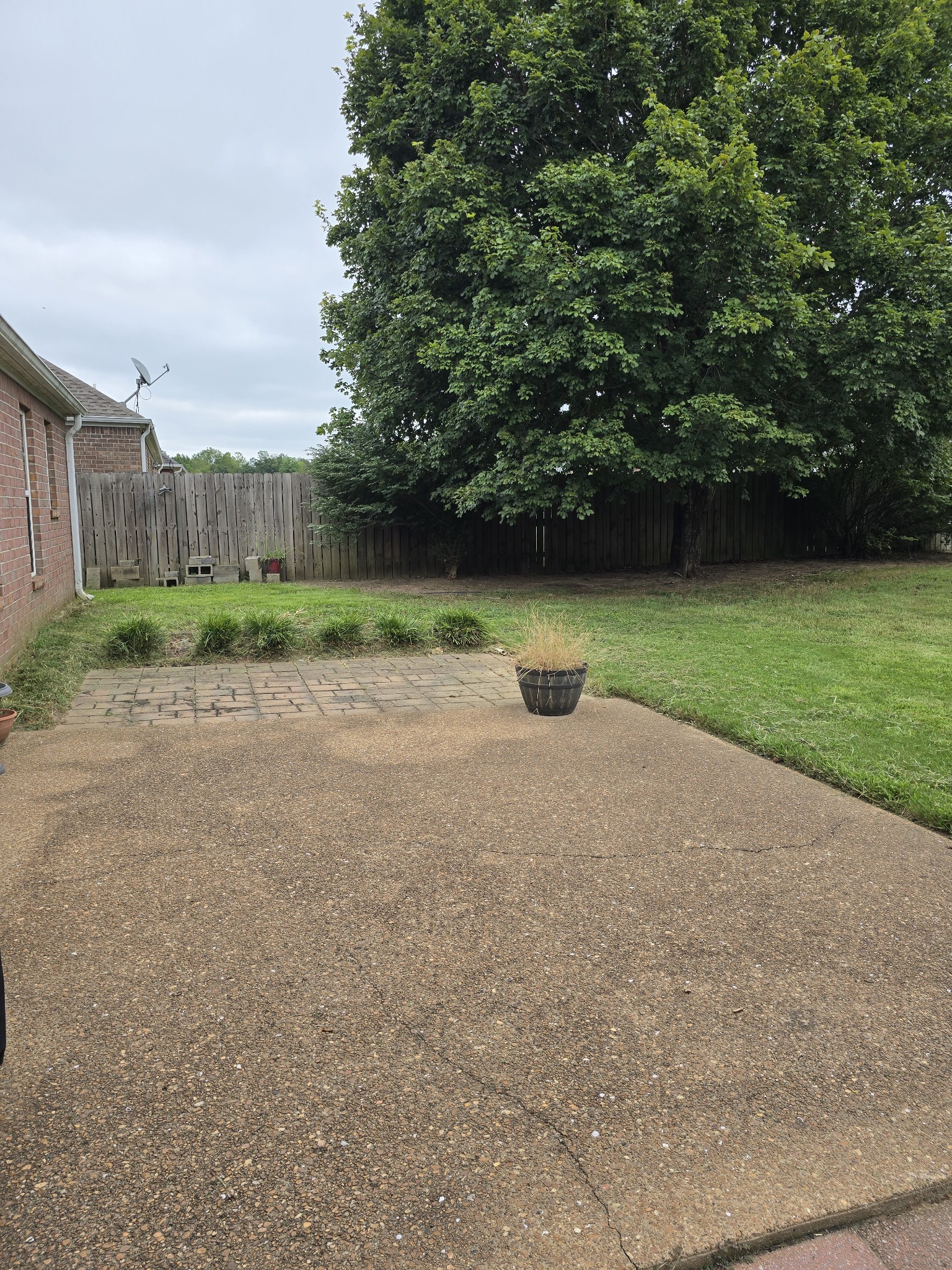 270 Reed Circle Medina, TN 38355 - Photo 30 of 31 a backyard of a house