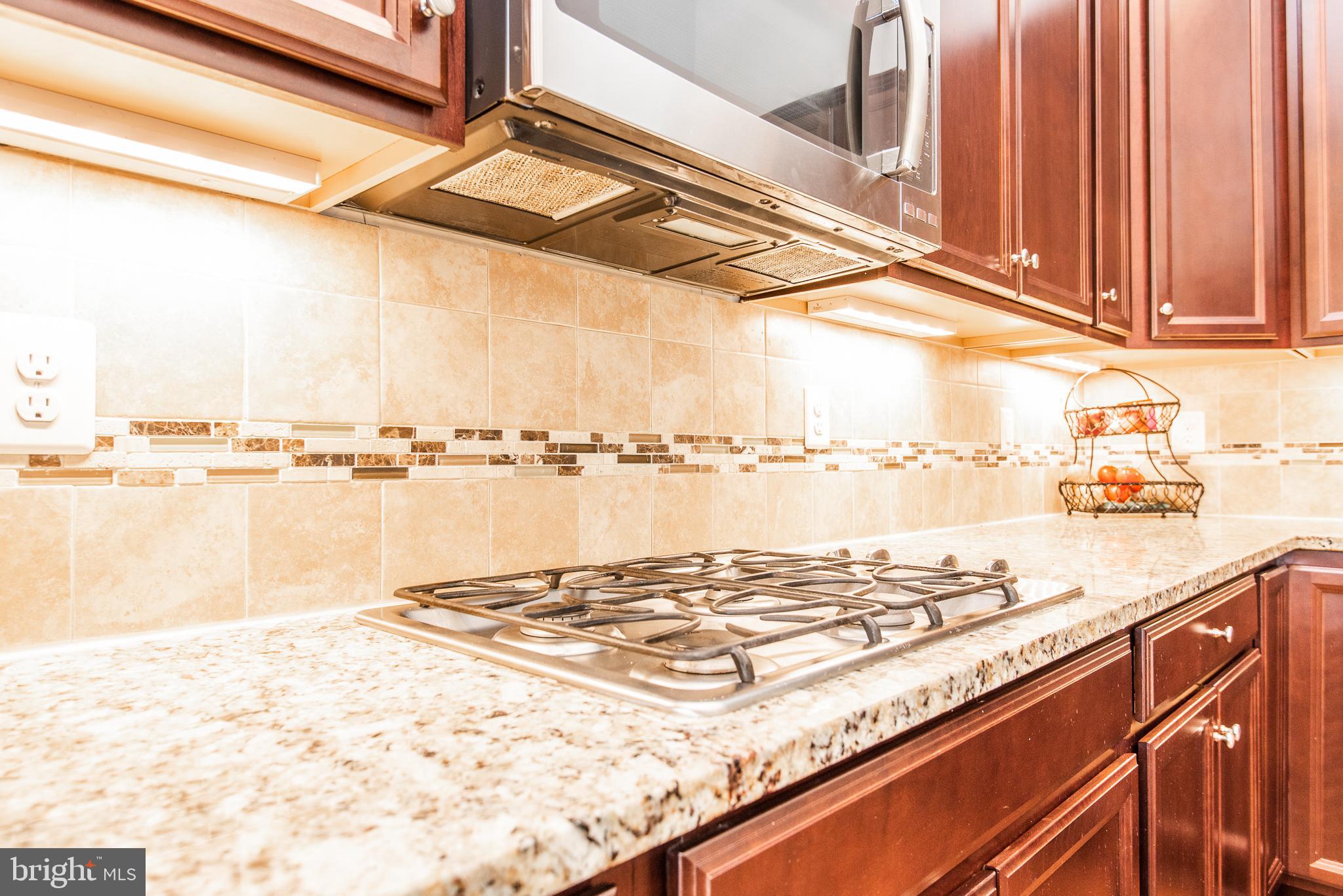 25837 Racing Sun Drive Aldie, VA 20105 - Photo 12 of 48 Gas Cooktop