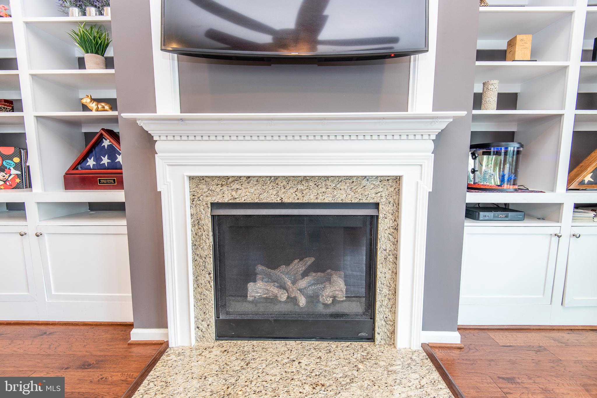 25837 Racing Sun Drive Aldie, VA 20105 - Photo 20 of 48 Gas Fireplace w/Mantle