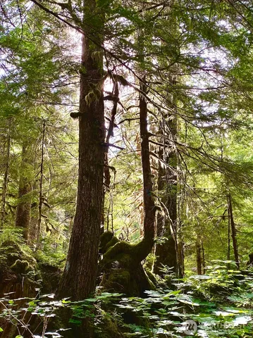 $195,000 | 0 Mountain Loop Highway, Leavenworth, WA 98826